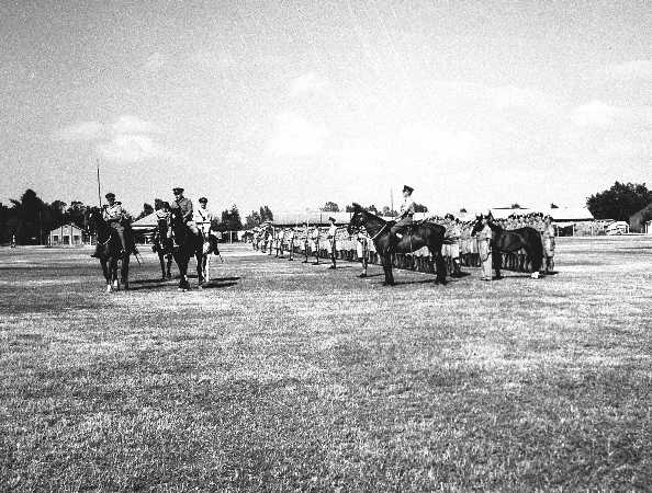 Images/1 LF colour Troop 1951310.jpg